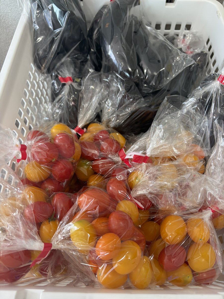saneisuisan's tweet photo. 三栄水産直売所【OPEN11:00~16:00】

野菜も入荷してます♪♪♪
七飯の農家さんの採れたて野菜です🫛
本日もよろしくお願いいたします😊 https://t.co/5Qj346W7hl