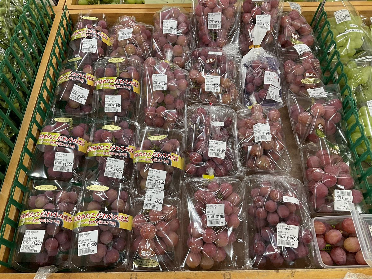 kira_chokubai's tweet photo. シャインマスカット、クインニーナ、巨峰たくさん入荷‼️🍇 https://t.co/YOnTNGyMVu