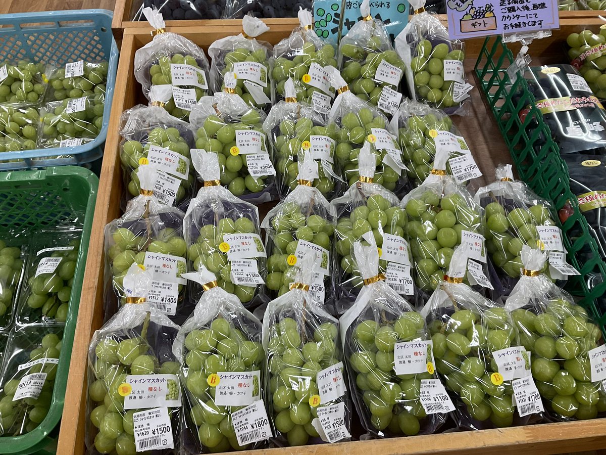 kira_chokubai's tweet photo. シャインマスカット、クインニーナ、巨峰たくさん入荷‼️🍇 https://t.co/YOnTNGyMVu