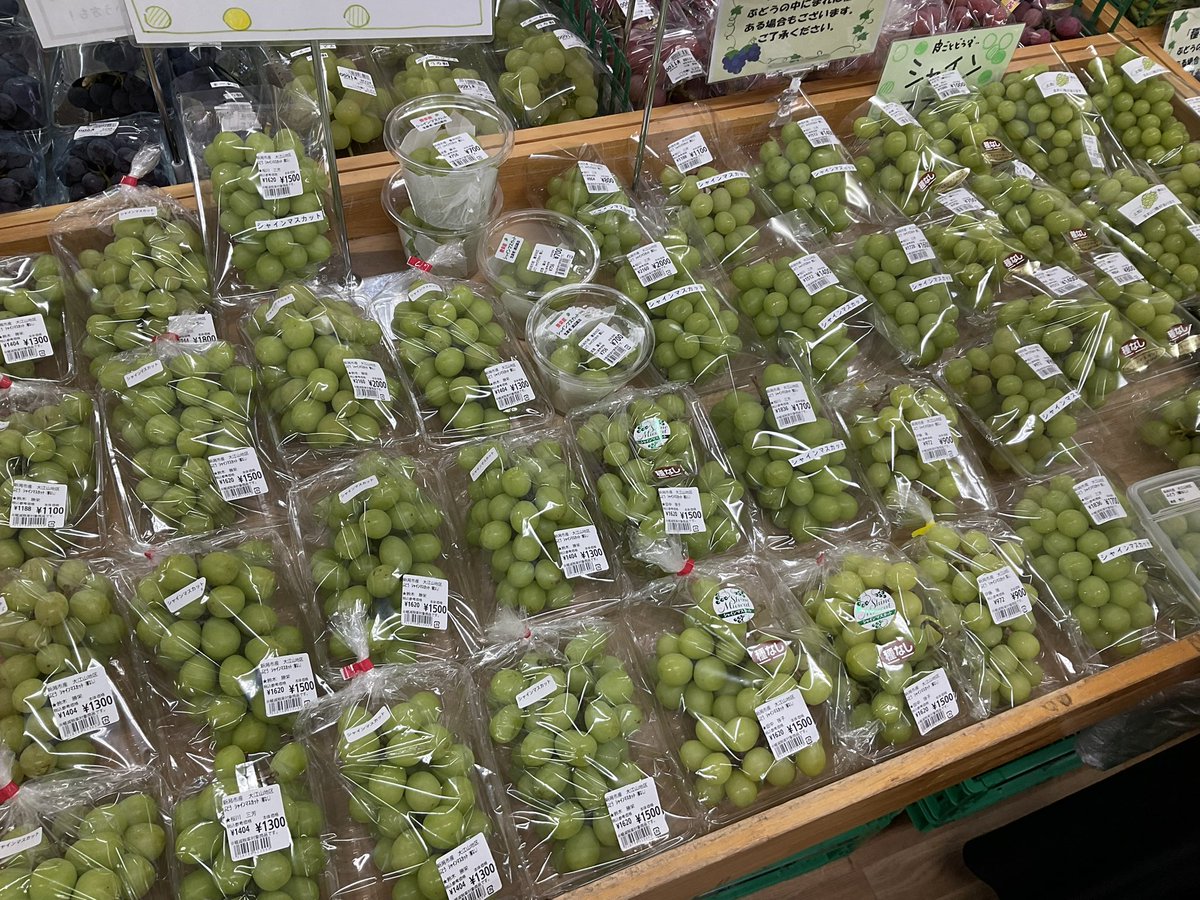 kira_chokubai's tweet photo. シャインマスカット、クインニーナ、巨峰たくさん入荷‼️🍇 https://t.co/YOnTNGyMVu