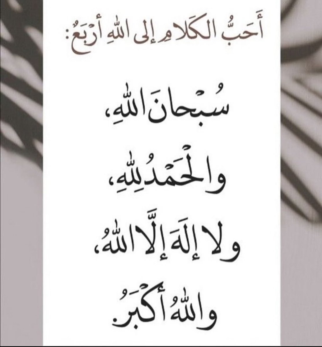 coca5jv's tweet photo. #السعوديه_خط_احمر
🌹 https://t.co/z4cXSPQ83n