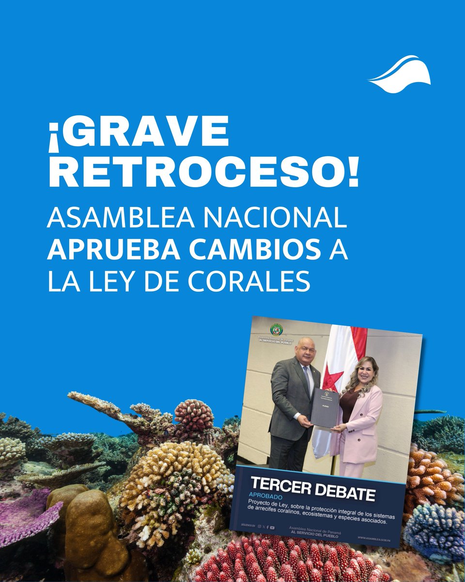 ciampanama tweet picture