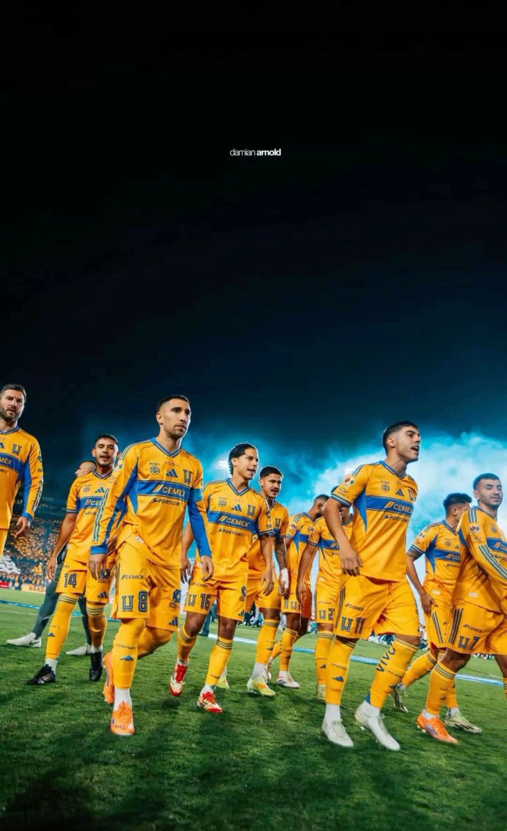 ___adame's tweet photo. Correa y Brunetta encendidos, ventaja en la final de ida y en la vuelta un gol de tiro libre de Gignac  y gorriarian para el 2-0 global en la vuelta. Un equipo imparable, en diciembre las que siempre ganamos, la última y nos vamos gordo… ¿Qué podría salir mal? https://t.co/F2Mfdb9NiA