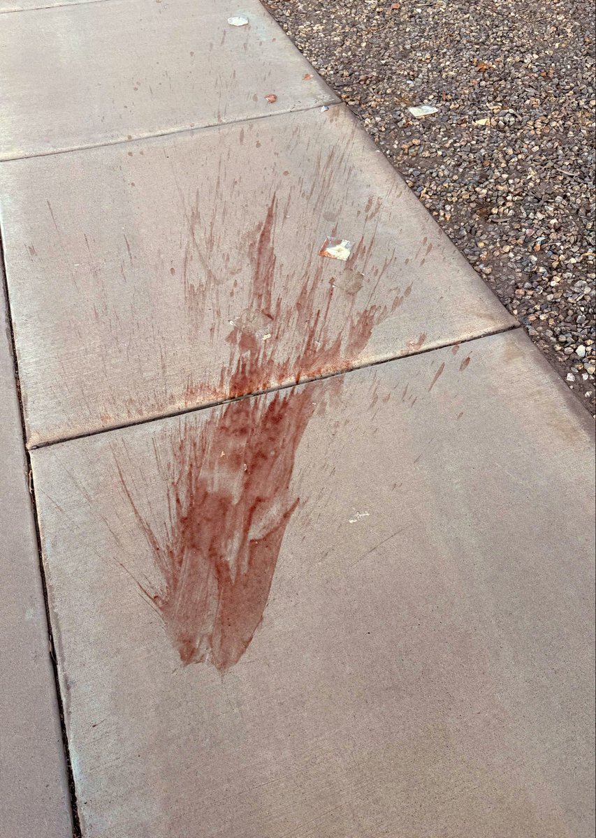pilldosed's tweet photo. either someone died or some fatass dropped their red meal https://t.co/nOthuVg1AS