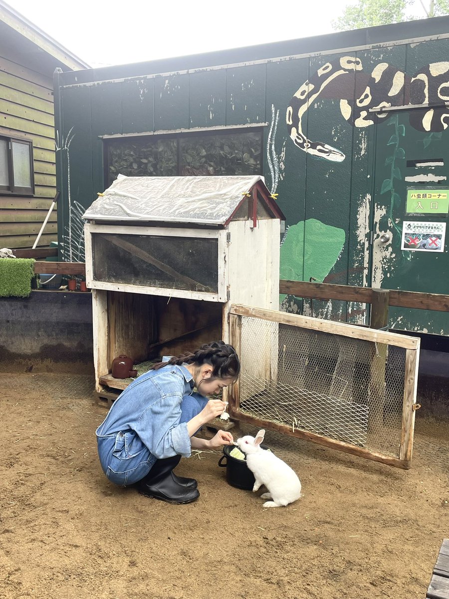 rui_0301_'s tweet photo. #Seventeen秋号 ただいま更新中…
第３弾🦙🐐🐇⸒⸒
初めての飼育員体験！たくさんの動物たちと出会いました·͜· https://t.co/EWoWc7Im3w