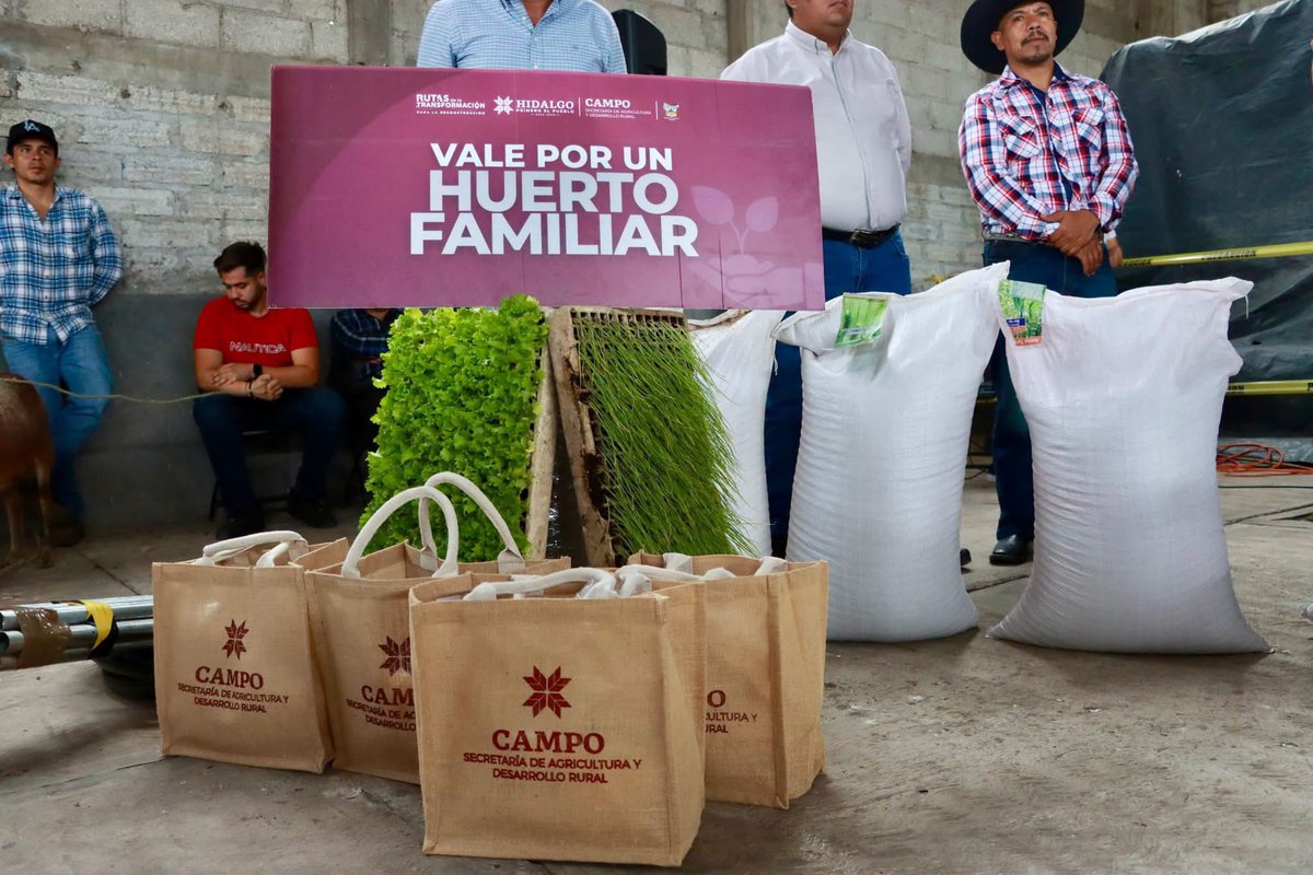 GlezNapoleon's tweet photo. En Almoloya entregamos equipamiento avícola, huertos familiares, aves, semilla de avena, cebada, jitomate y maíz, herramientas, hijuelos de maguey y vientres ovinos y porcinos

Seguimos trabajando para cumplir la visión del gob. @juliomenchaca_ y construir #ElHidalgoQueQueremos https://t.co/oEwsC9A5W8