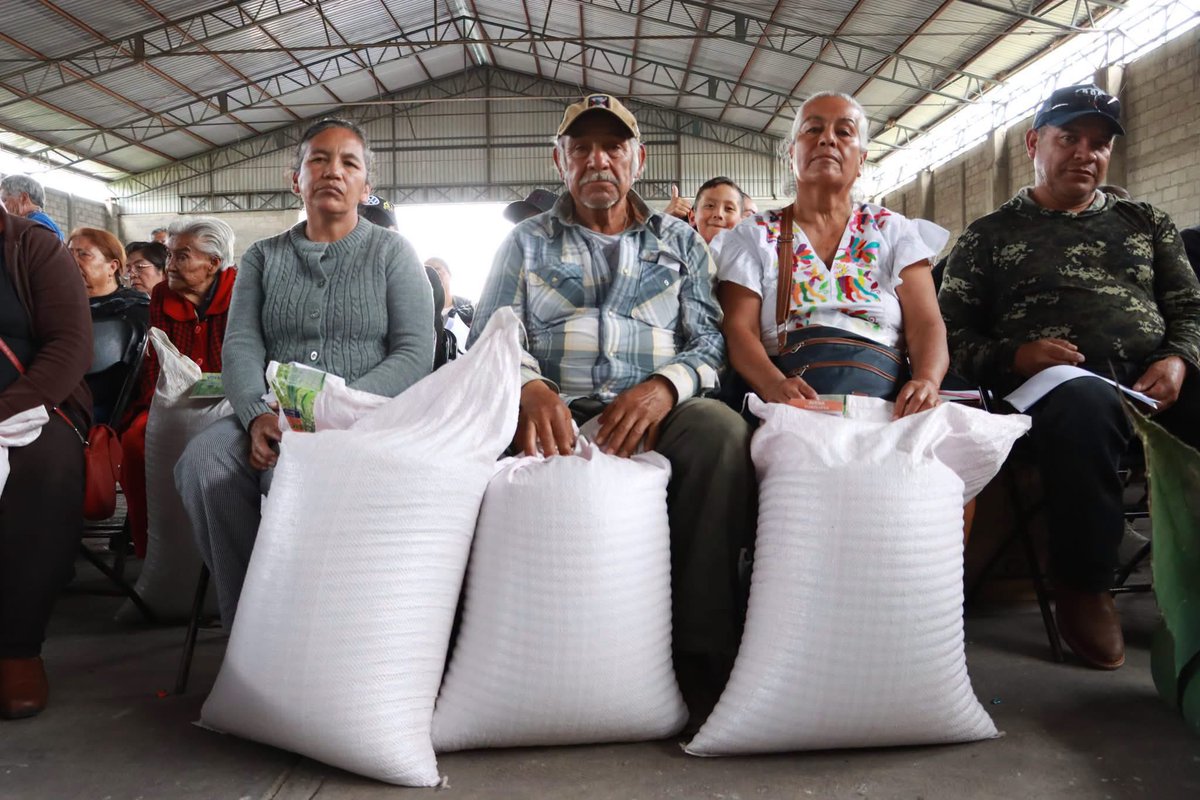 GlezNapoleon's tweet photo. En Almoloya entregamos equipamiento avícola, huertos familiares, aves, semilla de avena, cebada, jitomate y maíz, herramientas, hijuelos de maguey y vientres ovinos y porcinos

Seguimos trabajando para cumplir la visión del gob. @juliomenchaca_ y construir #ElHidalgoQueQueremos https://t.co/oEwsC9A5W8