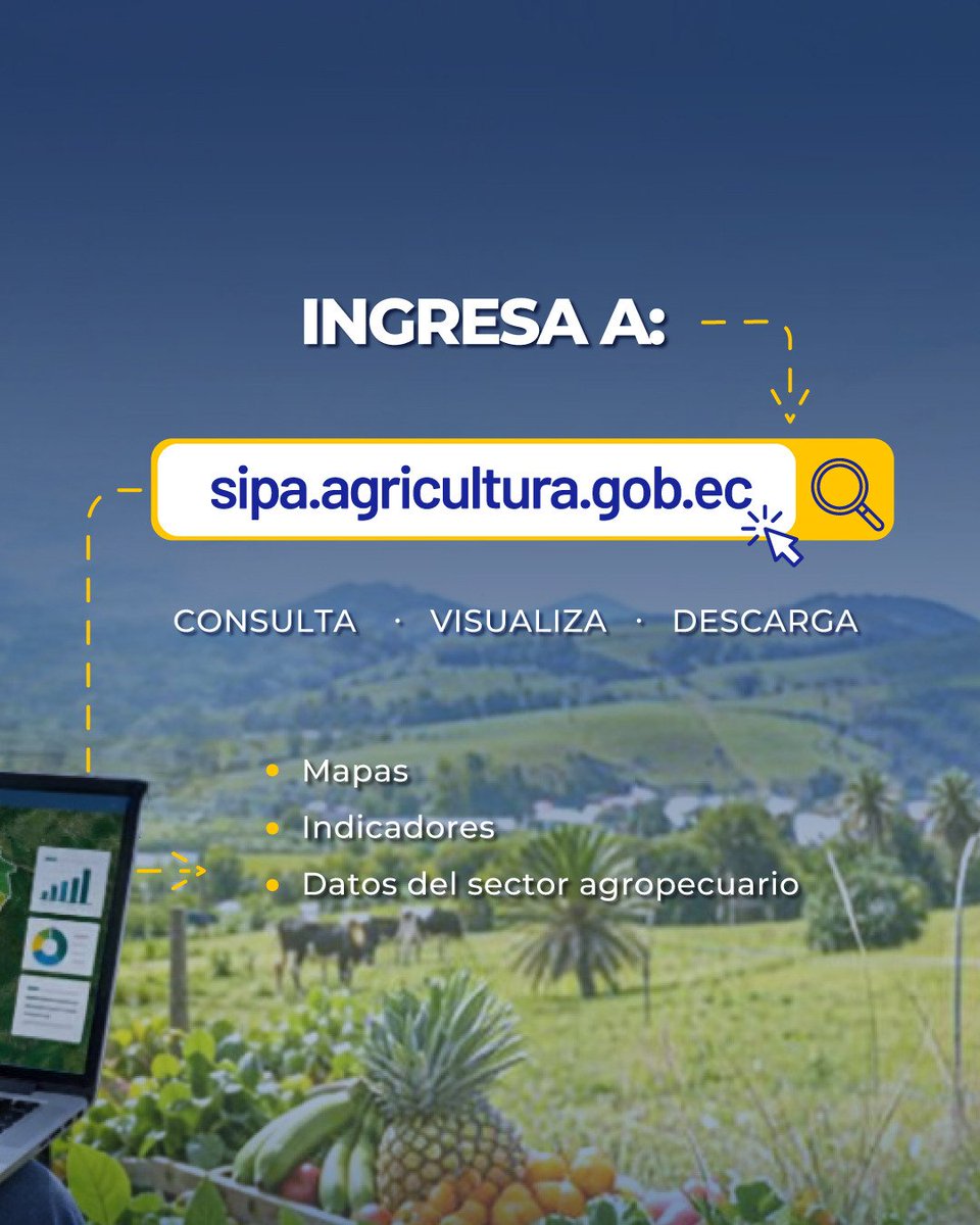 AgriculturaEc's tweet photo. 🌱📊 El Ministerio de Desarrollo Económico y Productivo, a través del SIPA, pone a tu alcance información sobre producción, precios, comercio exterior, indicadores, territorio y publicaciones del sector agropecuario. 🌾🇪🇨

���� Ingresa a: https://t.co/AqlRsCISq7

🌱 Más información para un agro que crece y transforma al Ecuador.