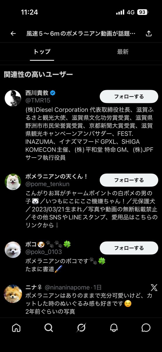 gibukaicho's tweet photo. ポメの毛並みで話題になってるポストの関連ユーザーでワロタ https://t.co/AZx6r5IIPQ