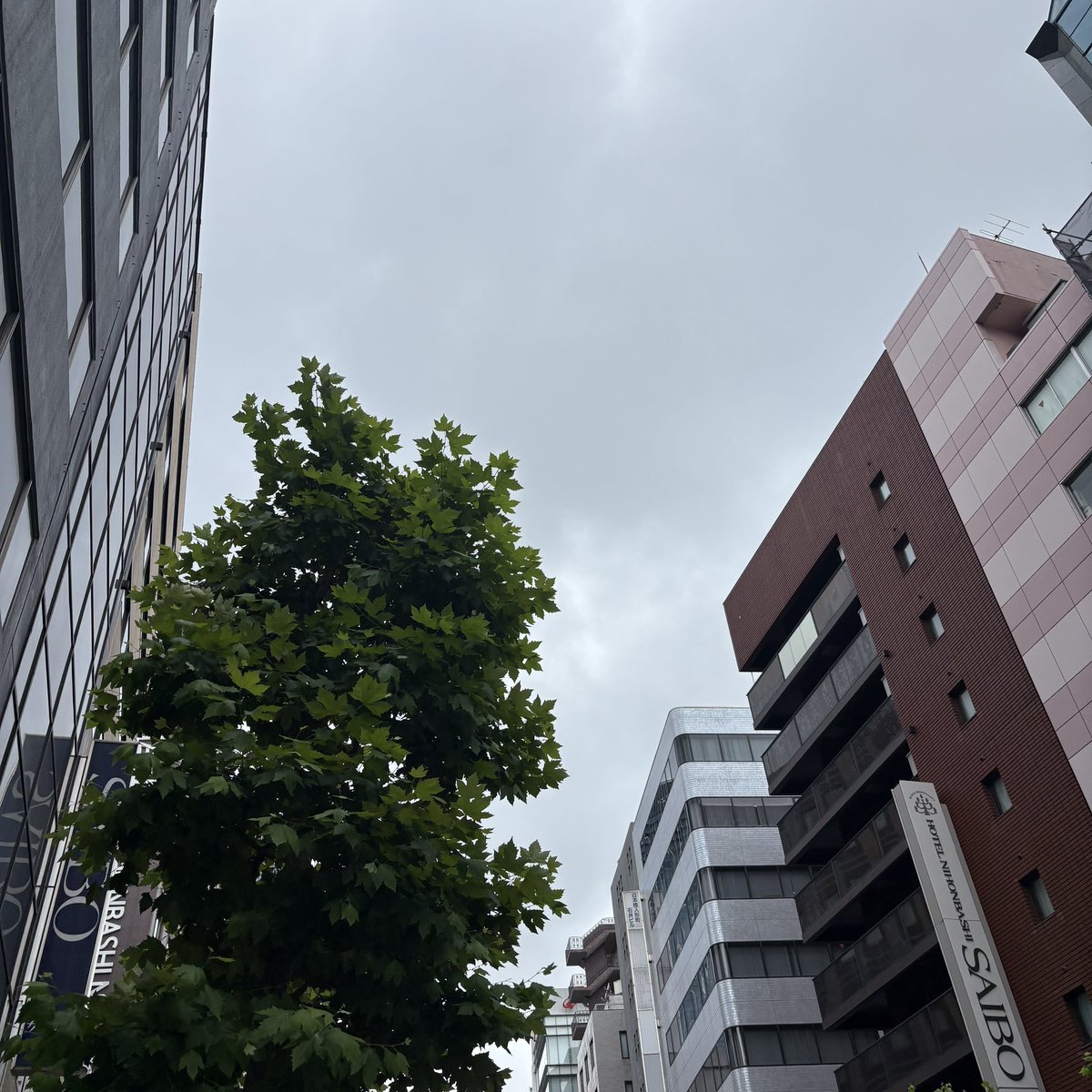pita_masui's tweet photo. おはようございます。

曇天の東京日本橋。
名古屋の皆様、昨日の大雨は大丈夫でしたでしょうか…。

くれぐれもお気をつけて、良い一日をお過ごしください。

#企業公式が毎朝地元の天気を言い合う
#福祉用具 https://t.co/iswdjl6e1s