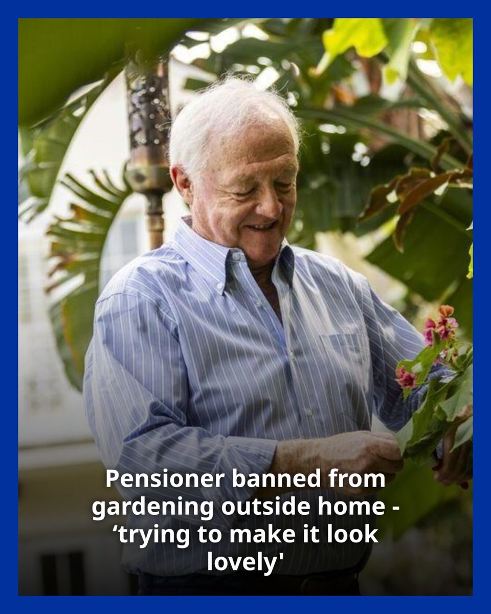 Daily_Express's tweet photo. The 80-year-old laid turf, planted flowers, and installed a one-foot-high fence. https://t.co/qZqE0KXawh