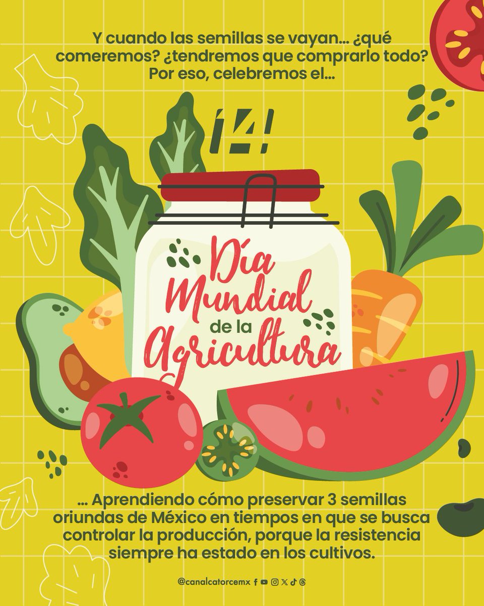 canalcatorcemx's tweet photo. Donde nace el alimento, que también nazca la curiosidad y la conciencia. 🌶️🌽

Cada 9 de septiembre se conmemora el Día Mundial de la Agricultura, que nos recuerda reconocer la labor de quienes trabajan la tierra y su importancia, siendo una actividad que sostiene nuestra alimentación, comunidades y buena parte de la economía del mundo.

Con tal motivo, aprendemos sobre la preservación y autonomía de los cultivos este día. 🍅🍉