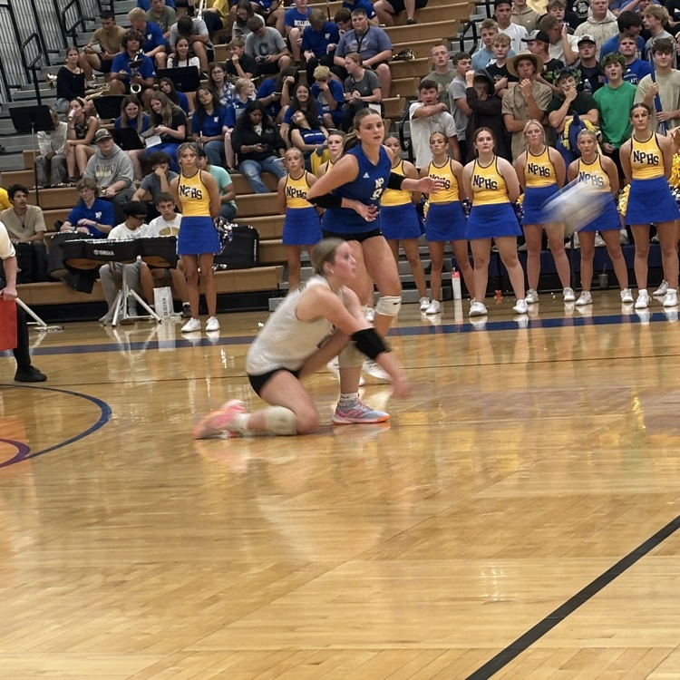 nphs_bulldogs's tweet photo. Varsity volleyball battles through some tough sets but comes up short 19-25 25-15 23-25 16-25. Way to fight, ladies! #GoGold #VolleyballState #GoGoldNebraska https://t.co/nNVmbdGWec