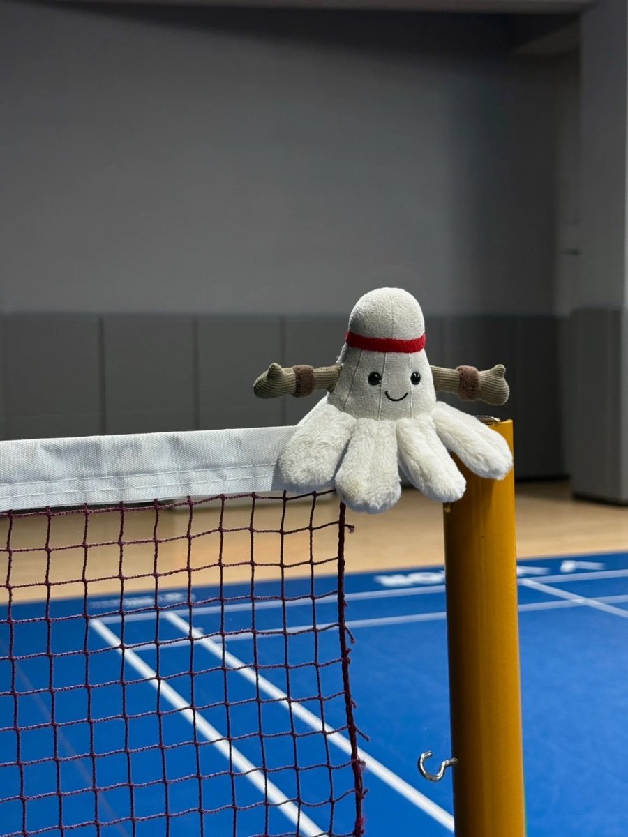 SeraphinaOPO's tweet photo. Everything has a solution, but nothing is quite as healing as playing ball. The sound of every precise strike brings a thrill gifted by life itself https://t.co/J0N9xGJ2pD