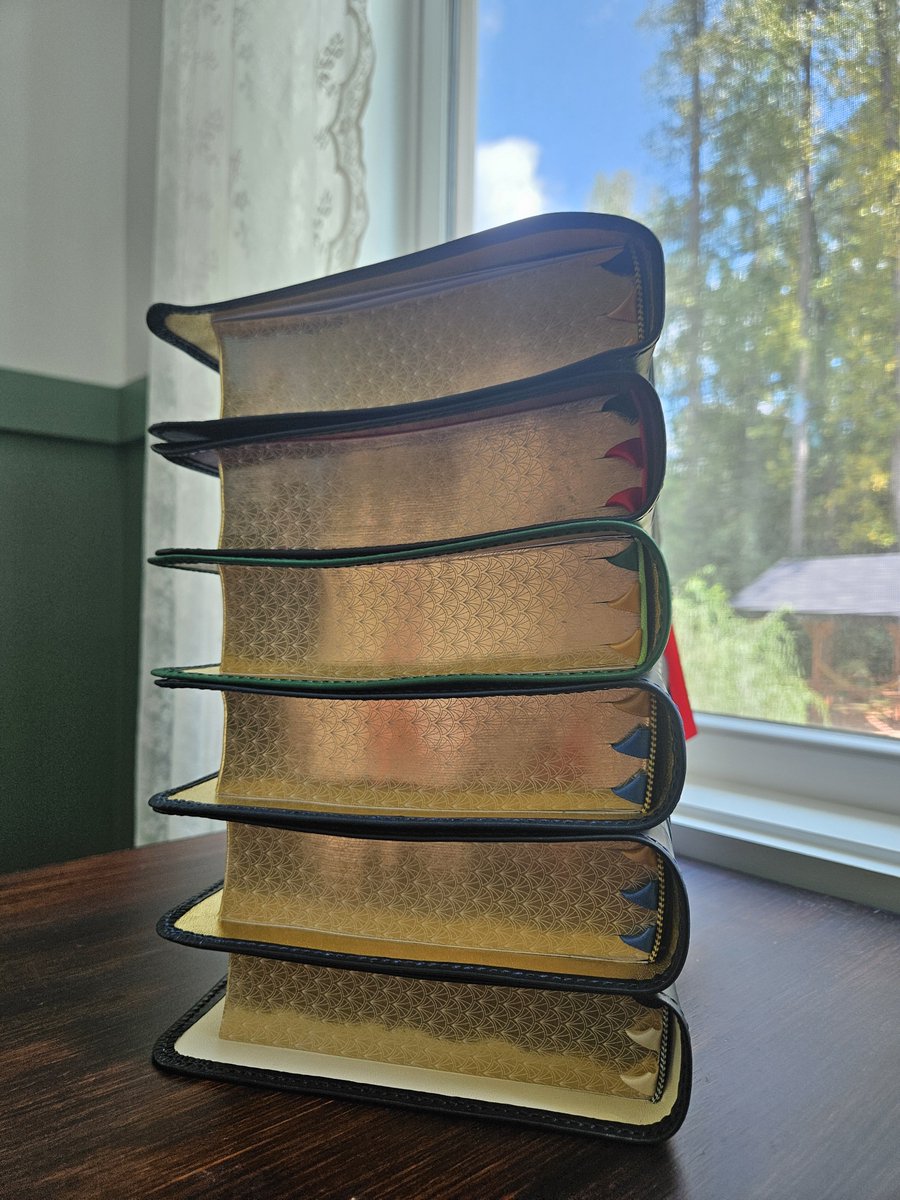 Deusvultrebinds's tweet photo. Not For Sale

Six custom Bibles ready to go!

NRSV Illustrated Catholic Bibles

#bible #rebind #BibleVerse #biblerebind #deusvult #Catholic #leather #NRSV #rebinders https://t.co/yzraIrbzZg