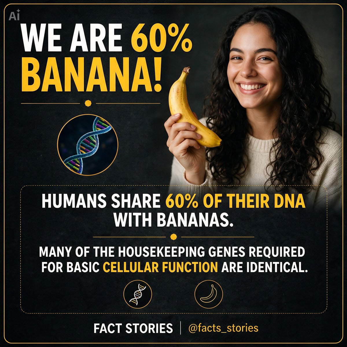 ArdilaVale's tweet photo. Discover the astonishing 60% DNA similarity between humans and bananas. What fuels your curiosity and desire to understand the world more deeply? Unlock new possibilities through the empowering potential of knowledge. https://t.co/Id2iBirJhd