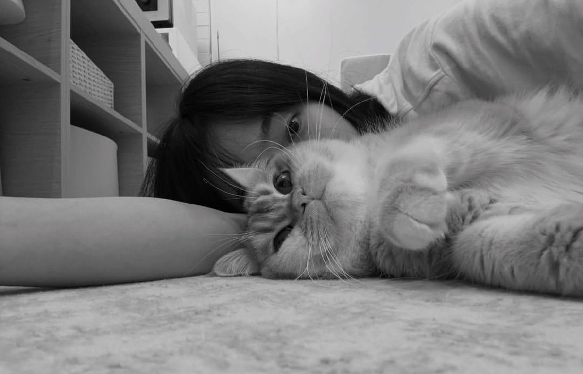 RavelerHannah's tweet photo. @NooseNingning IMUT temenan sama punyaku pls https://t.co/SWC1uXyg1n