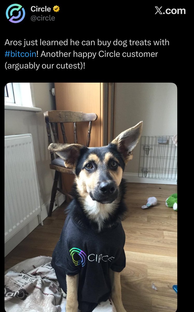 Aros_meme's tweet photo. Aros is OG. 🐕💙

In 2015, Circle shared the story of Aros — the dog who discovered Bitcoin could buy him treats. 🐕₿

$AROS og 1️⃣ on @arc network 
CA: 0xb65295e3cee4619290b1722f625a73d523b84b16 

DYOR. Not financial advice. 🐕💙
Do your own research and make your own decisions https://t.co/xmkP3YHGCj