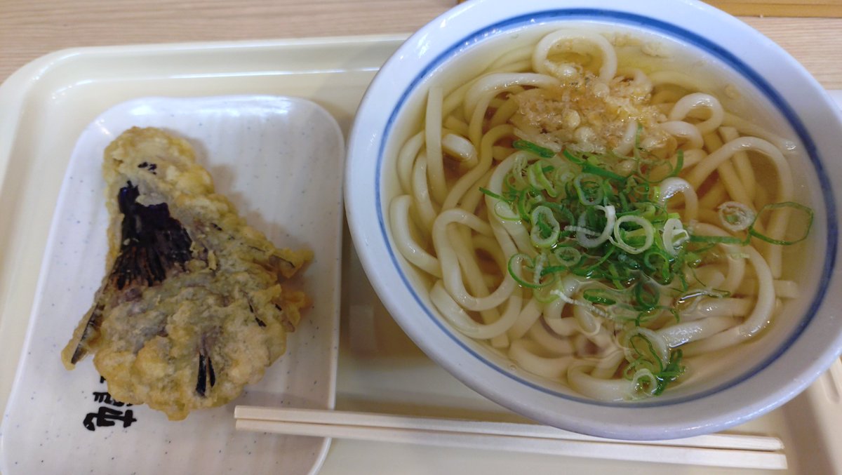TertiaryTom's tweet photo. 大阪出張　2日連続でうどんを食べてくスタイル！ https://t.co/E7oKAOaXvv