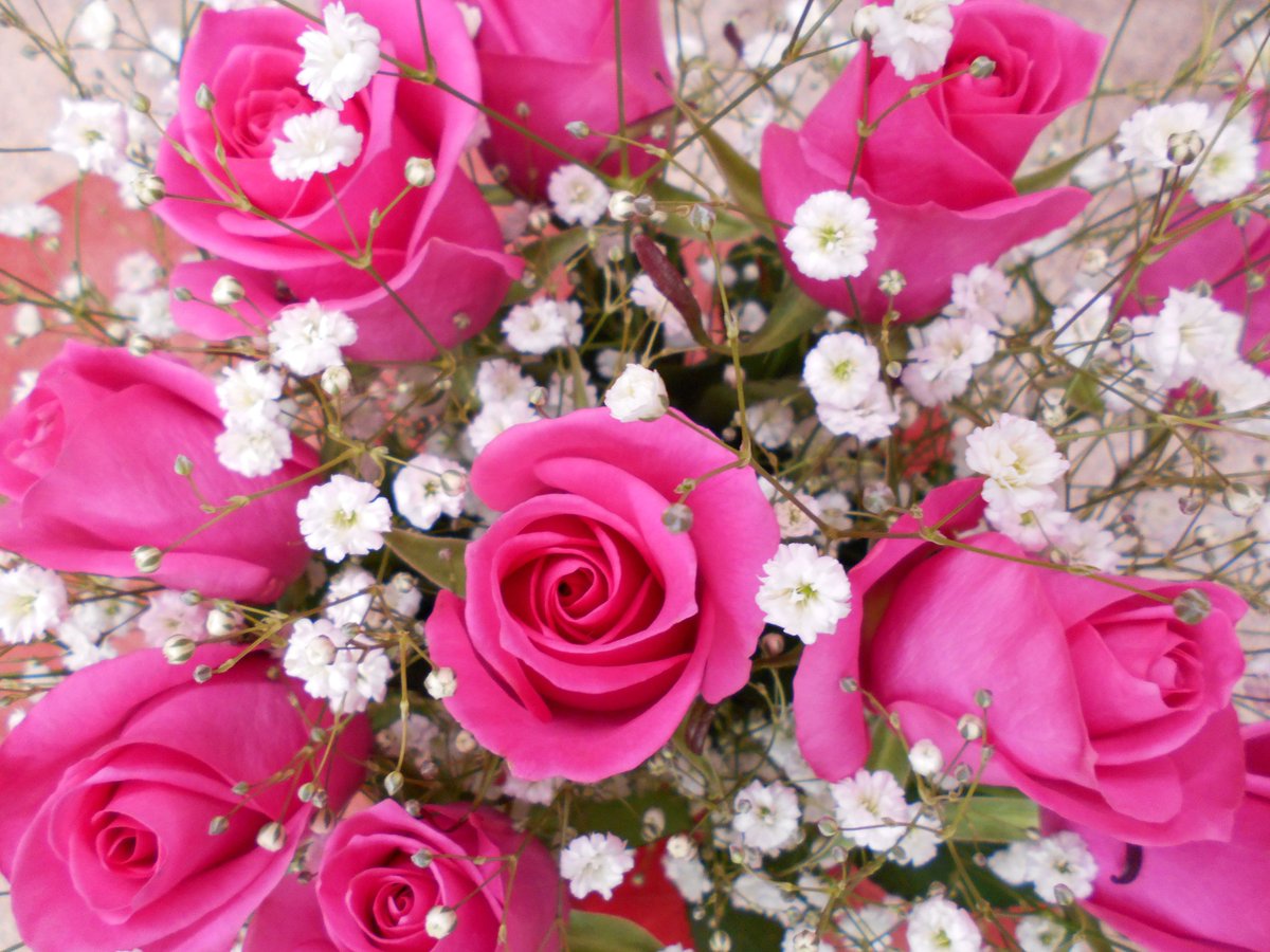 flowermarche01's tweet photo. 9/9　赤字覚悟��100均ショップ　１０本５００円もいっぱい　お好みの花束作ります　何でもお気軽に相談ください　kzy200160@yahoo.co.jp　Tel0443853736　#花束 #プレゼント #バースデー #お祝い #地方発送 https://t.co/27yVaaMrTf