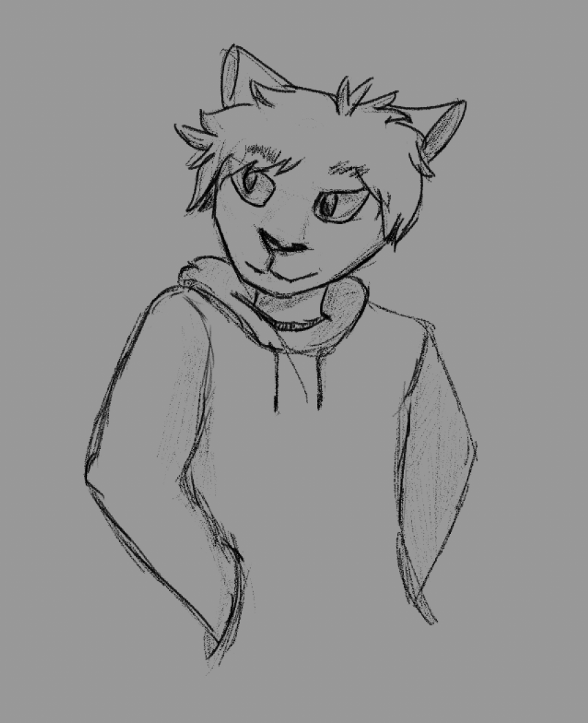 Ridpath_nue's tweet photo. The hands in the hoodie is intentional https://t.co/u7x1t13Qgk