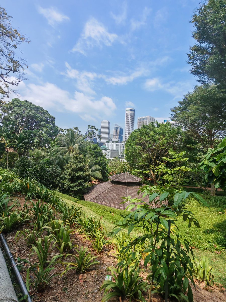 Silvia_Bianco's tweet photo. #fortcanning #fortcanningparksingapore
๐บ๐ณ๐ด๐ผ๐ฆ๐ฆ๐ธ๐ฆโโฌ๐ฆ๐ธ๐ฑ๐ฟ
#Singapore ๐ธ๐ฌ #silviabianco ๐ธ https://t.co/WhZVHCCAZP