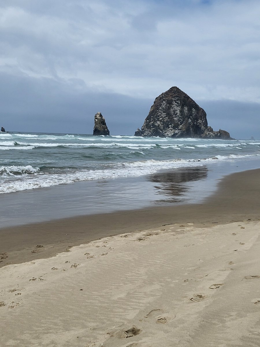 draidfort's tweet photo. ❤️ OREGON, great place to unwind💯 https://t.co/BJOPIGwsCR