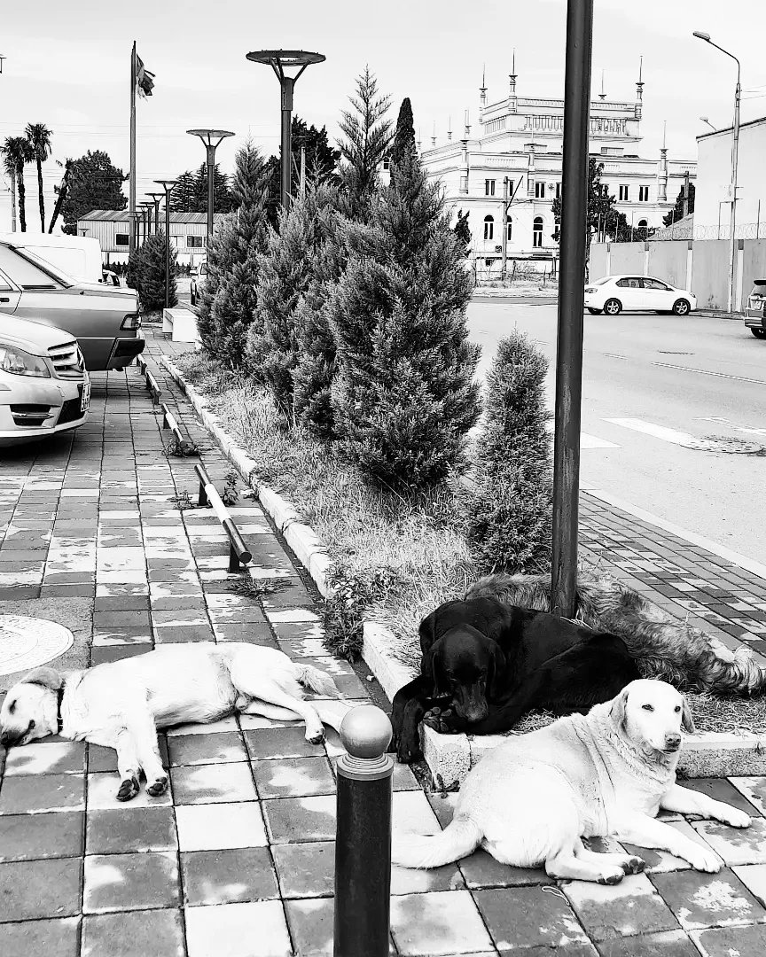 mirellevitoria4's tweet photo. Batumi, Georgia https://t.co/id9l2FaN9p