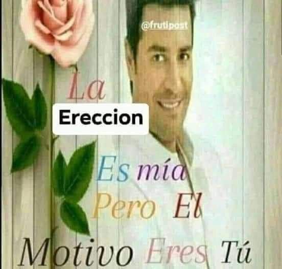 fafalopa's tweet photo. me voy a dormir pq siento q me está por explotar la cabeza gngngngngn https://t.co/Dfb4FgLePJ