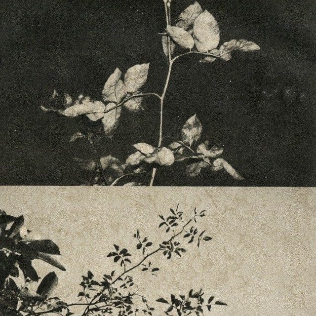 poesiaoceanica's tweet photo. ⠀        

  ANASTASIA     N.     SVETLOVA.
ᅠ⠀   𝙸͟𝙽͟𝙴͟𝙵͟𝙰͟𝙱͟𝙻͟𝙴     𝙼𝙴𝙻𝙰𝙽𝙲𝙾𝙻𝙸𝙰  : 
𝑙𝑎     𝑛𝑖𝑛̃𝑎     𝑝𝑜𝑒𝑡𝑎  ꓹ        𝖾𝗇𝖺𝗆𝗈𝗋𝖺𝖽𝖺             
𝚍𝚎𝚕   𝙼𝙰𝚁.       𐚁      ( 𝑠𝑜𝑛𝑒𝑡𝑜𝚏͟𝚞͟𝚐͟𝚊͟𝚣 )  . https://t.co/JfukbqNNVI