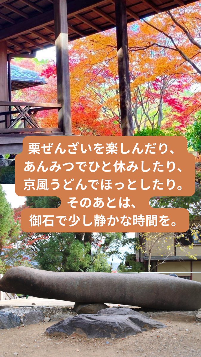 The_Stone_Oishi's tweet photo. 秋の嵯峨野で、栗ぜんざい🌰
観楼雅で秋の甘味を楽しんだら、すぐ隣の御石へ🪨

触れたり、座ったり、横になったり。
「食べる時間」と「休む時間」を一緒に楽しめます☺️

#御石 #嵯峨野 #京都散策 https://t.co/vcwh9J6XG2