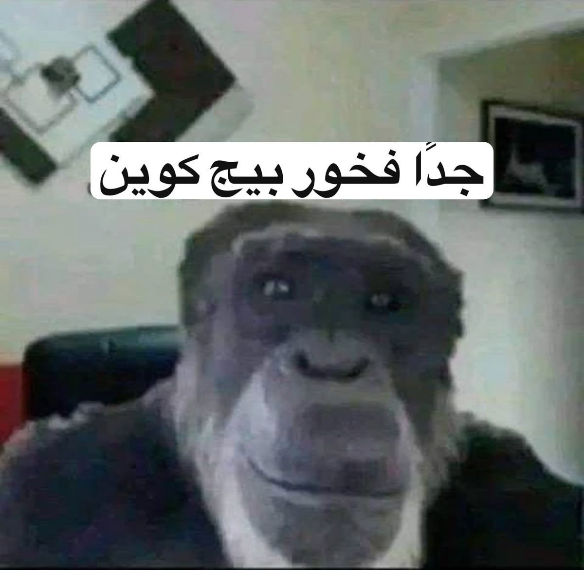 lotiifa's tweet photo. مستفى عشان نقتنع أنهم كبل حلو https://t.co/j11OOOk1o0