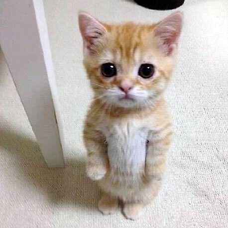 dohdwe's tweet photo. 😭 https://t.co/LIjaAjCjFZ
