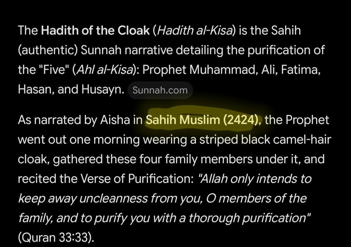 TruthMaxxer2's tweet photo. @hankir_omar @xavierjp__ Enjoy! (ALL SUNNI SAHIH HADITHS) https://t.co/ZrXCYE1o4B