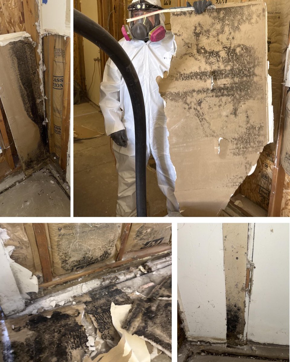 SteamMaster's tweet photo. What appears on the surface may be only part of the problem. Infrared inspection, moisture testing and exploratory openings can reveal microbial growth hidden inside walls.

At SteamMaster, we follow proper protocols.

Do it right. Do it right now. 970.827.5555 https://t.co/qbpKl8BxRG