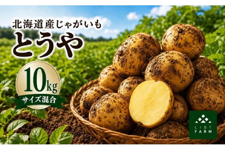 furusato_plus's tweet photo. #北海道 #倶知安町 #ふるさと納税 #返礼品 じゃがいも とうや 10kg リストファーム サイズ 混合 馬鈴薯(https://t.co/POA5mFehmU)をご紹介！
洞爺湖にちなんで命名された #じゃがいも で、舌ざわりが良いなめらか食感！
煮物、カレー、ポテトサラダ…様々な料理にご活用ください👨‍🍳 #ふるさとぷらす https://t.co/12Zr2kSwDI