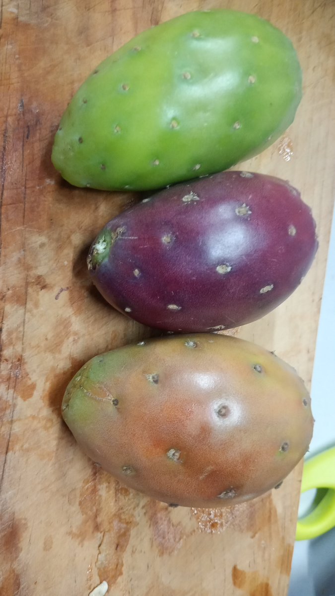 coachOMAR42's tweet photo. En su gustada sección #pinchecoachnomasantojas
Hoy fue día de cosecha!
#Tunas
#Rojas
#Blanca
#Anaranjada
Dios es bueno!! https://t.co/fQsiysEdHQ