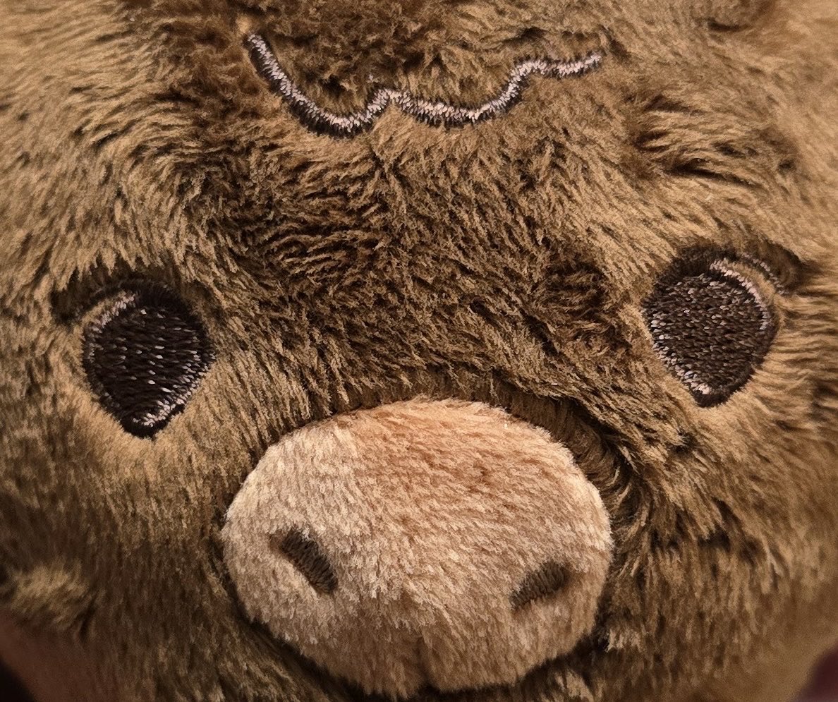 leesonghyeok's tweet photo. cOming sOOn . . . 🐂 https://t.co/f661L5E00B