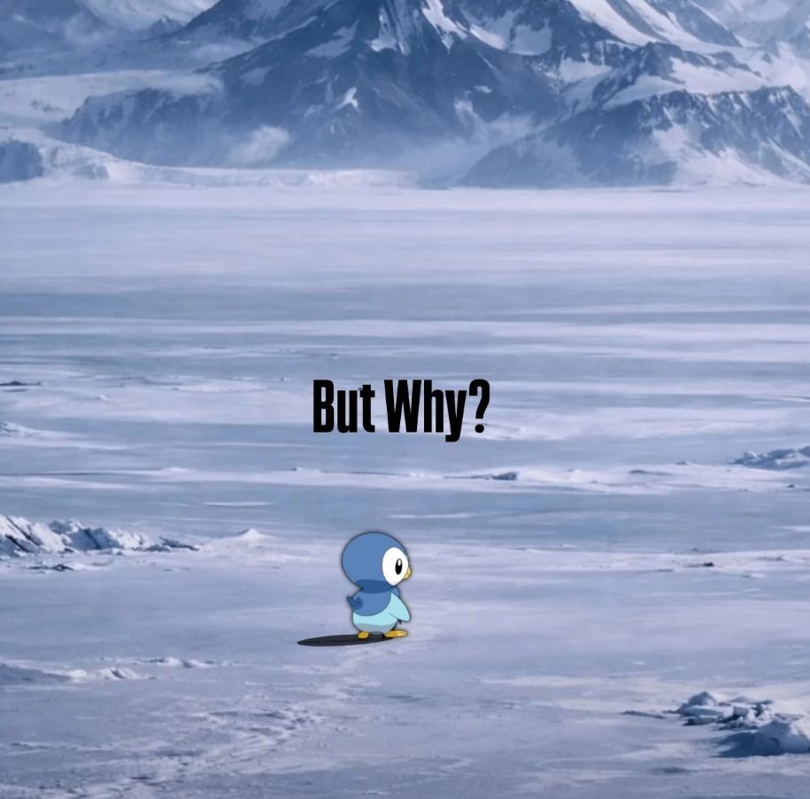 pokemon_daily's tweet photo. but why? https://t.co/8uT2nIZ1CL