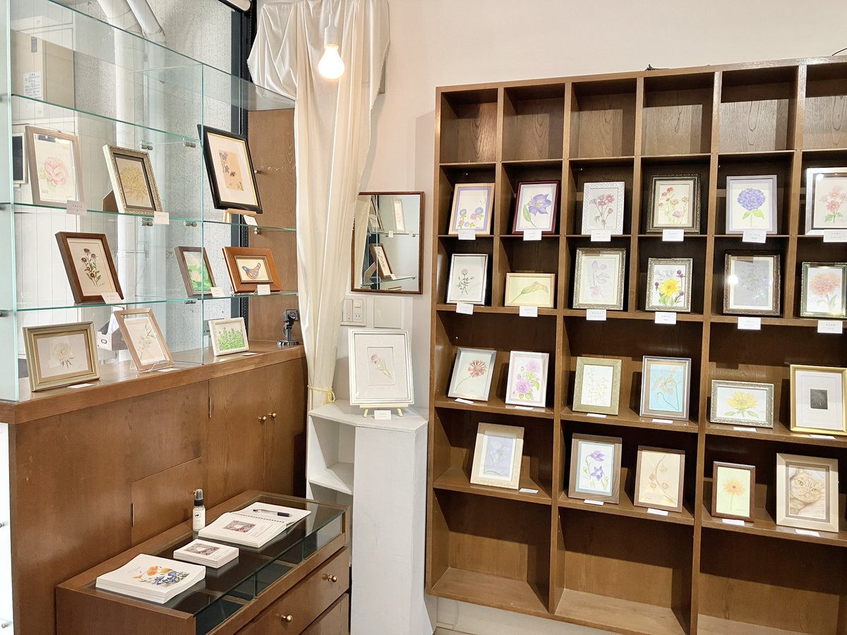 ono_space's tweet photo. ただ今ONO*Space全館にて 京都の絵画教室「アトリエセン」さんによる作品展開催中です🖼️約40名の生徒さんの主に生物をモチーフにした色鉛筆や水彩作品120点あまりがスペースいっぱいに飾れました。会期は13日15:00迄。お近くへお越しの折には是非お立ち寄りください💐 https://t.co/xncNHHZH4i