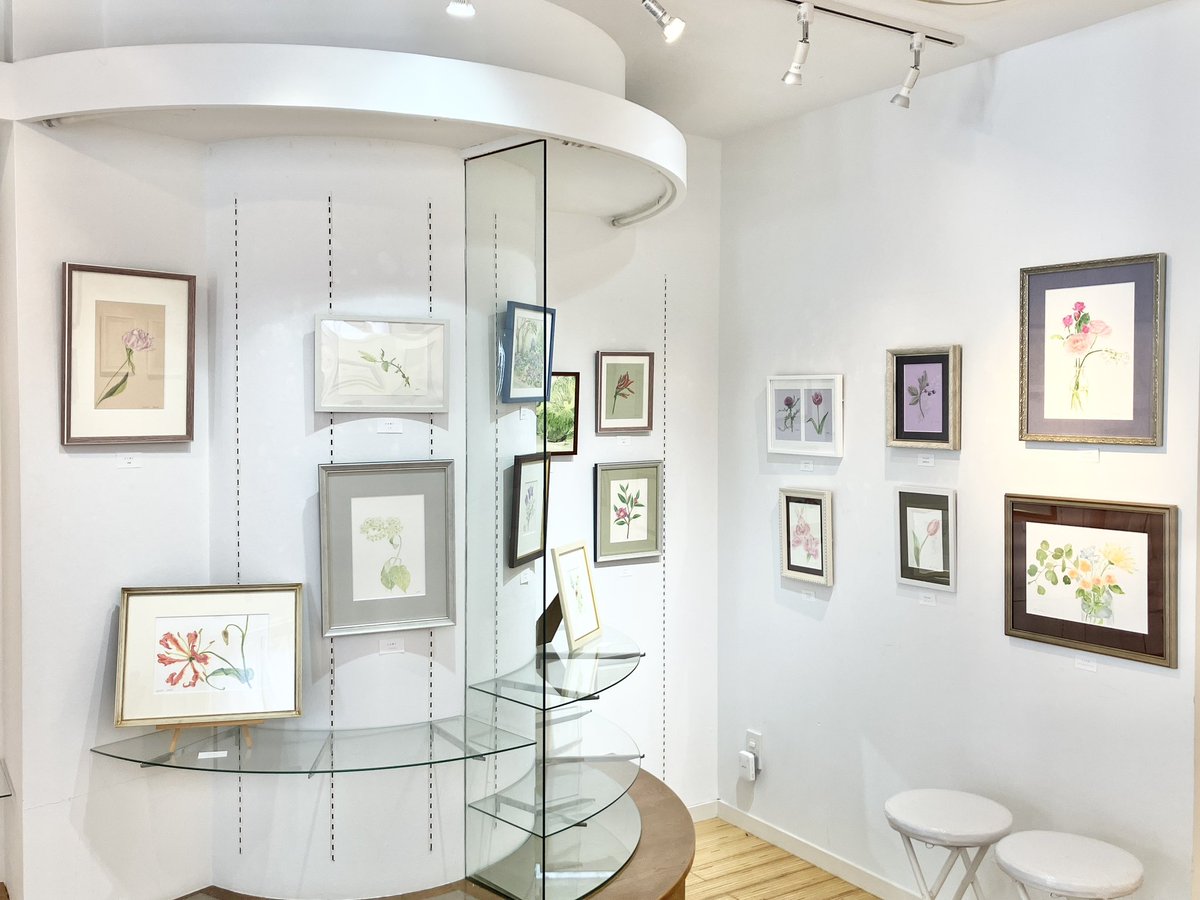 ono_space's tweet photo. ただ今ONO*Space全館にて 京都の絵画教室「アトリエセン」さんによる作品展開催中です🖼️約40名の生徒さんの主に生物をモチーフにした色鉛筆や水彩作品120点あまりがスペースいっぱいに飾れました。会期は13日15:00迄。お近くへお越しの折には是非お立ち寄りください💐 https://t.co/xncNHHZH4i