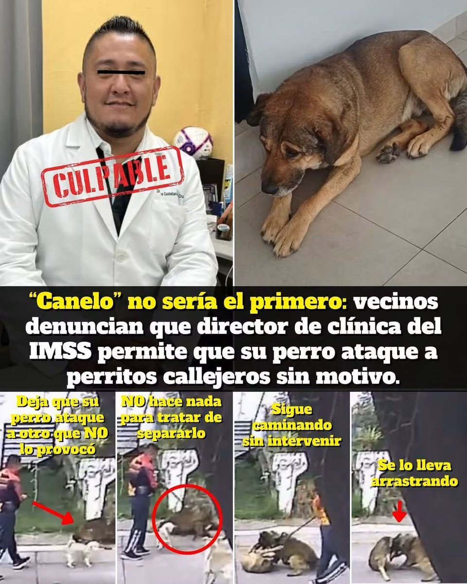 JesusMe57528625's tweet photo. ESTE DOCTOR DE CLINICA 76 URUAPAN MICHOACÁN 
ES UN PSICOPATA
NO ACREDITA SER MEDICO
TIENE SU MENTE TORCIDA https://t.co/STi1cKA36R
