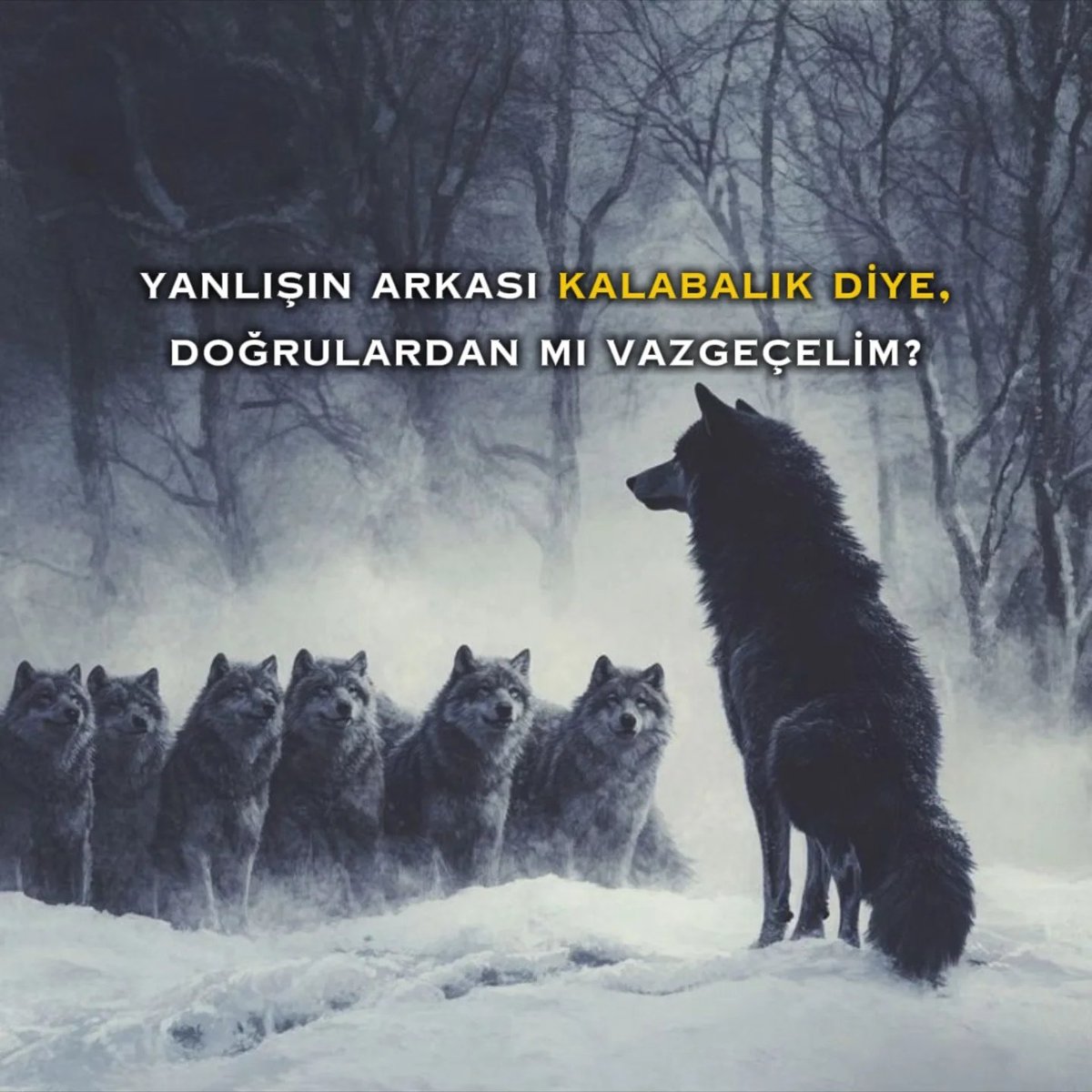 MgrGursoy's tweet photo. Selamünaleyküm https://t.co/Cyvt8Z65xf