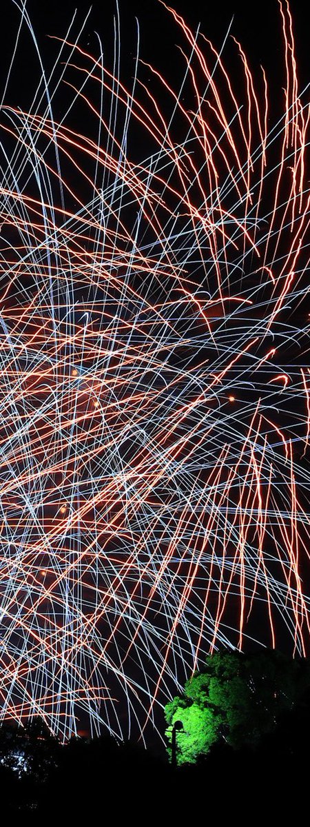 FinderLock's tweet photo. 犬山城と花火🏯✨🎆
#花火 #犬山城 #Fireworks 
#TLを花でいっぱいにしょう #Canon https://t.co/0n8at7aCPo