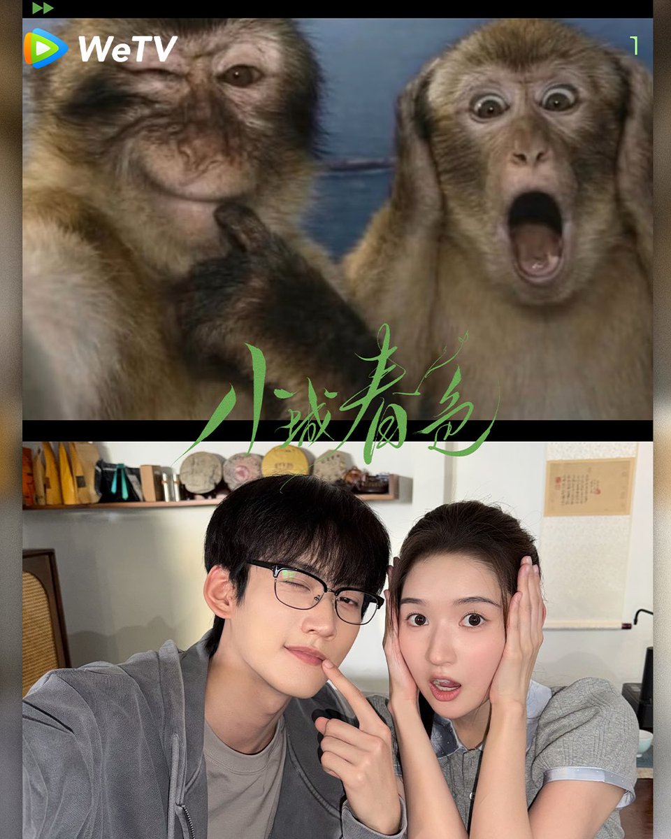WeTVOfficial's tweet photo. What’s the right way to enjoy these pics? 👀

A. Smile 😊
B. Save as a meme 😂
C. Do both + send to a friend 🥰

💗 #WhereHerHemlineBrushed Stay Tuned on WeTV.

✨Starring  #WangYuwen #ZhouKeyu (Listed in order of surname stroke count)

#小城春色 #王玉雯 #周柯宇 #WeTV #WeTVAlwaysMore