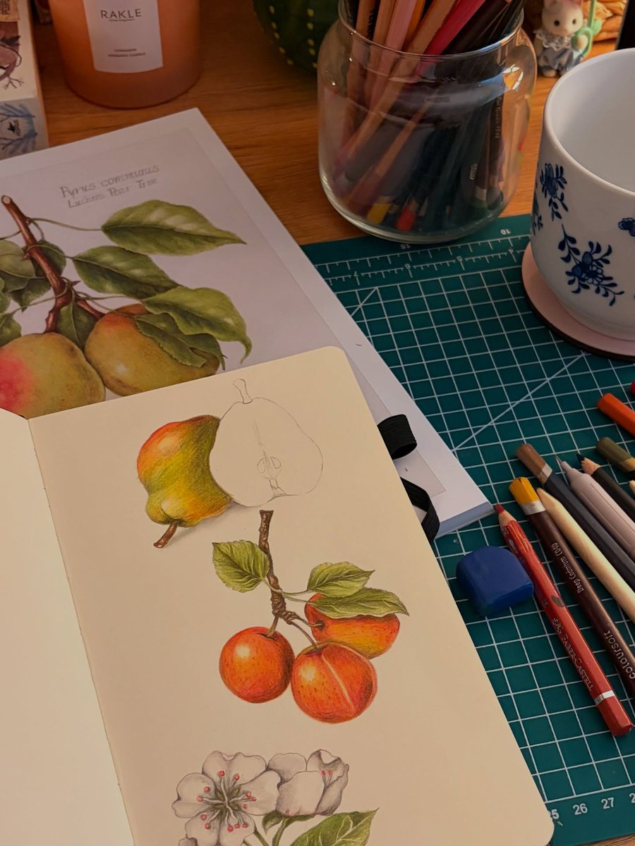 culha_irem's tweet photo. Yeni sketchbook’umun ilk sayfasından: “Herbarium Dreams” adlı eserim. https://t.co/gkTZikJ2zF
