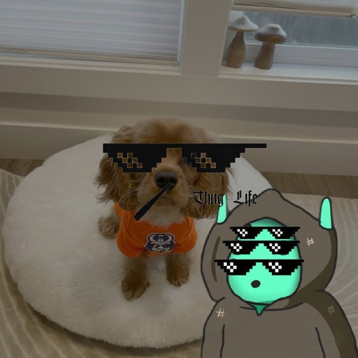 FreakoDeeko's tweet photo. Now he’s ready @ToshiBet https://t.co/aWGYbxBpYu