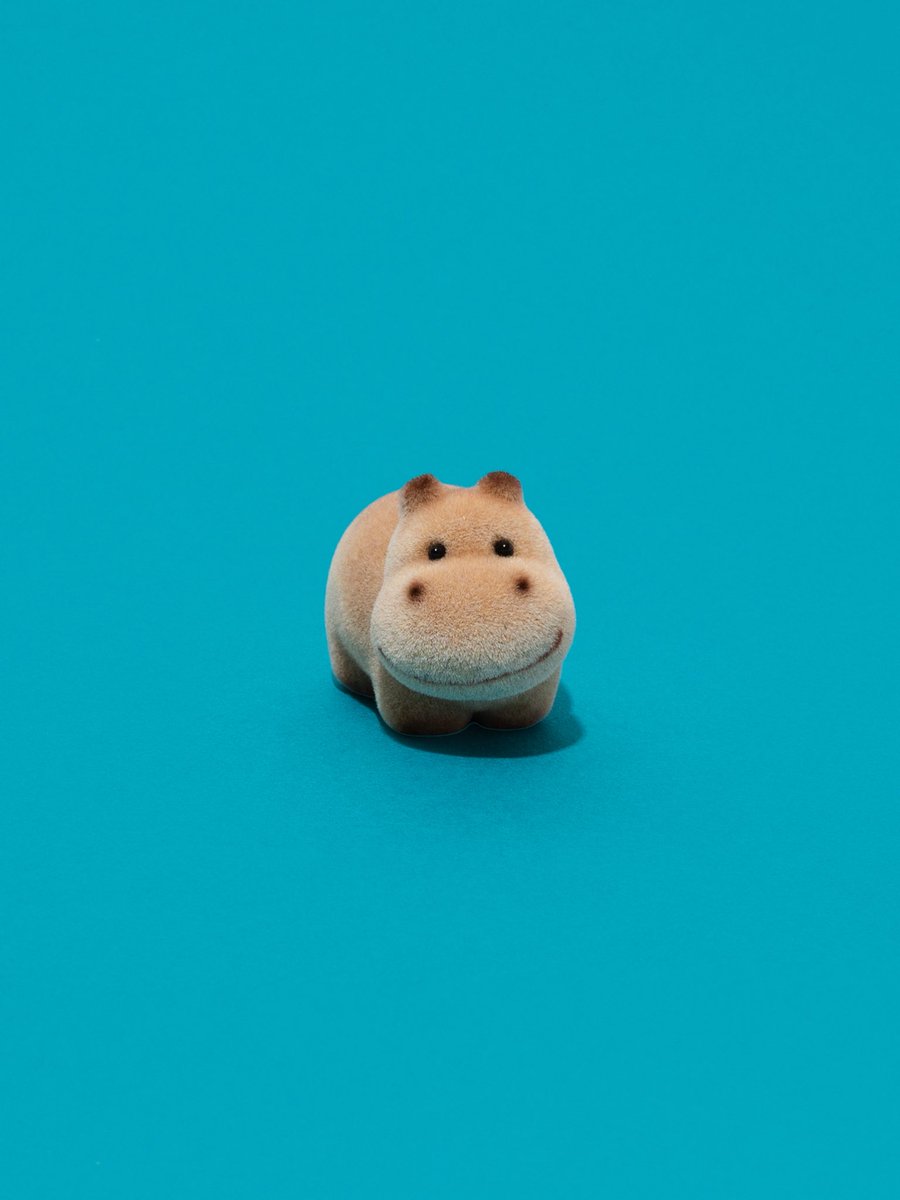 ris__a____'s tweet photo. 数年前、真珠コーナーでお迎えしたかわいいかばさんを撮りました📸
まじでかわいい https://t.co/8YDfS1hnED