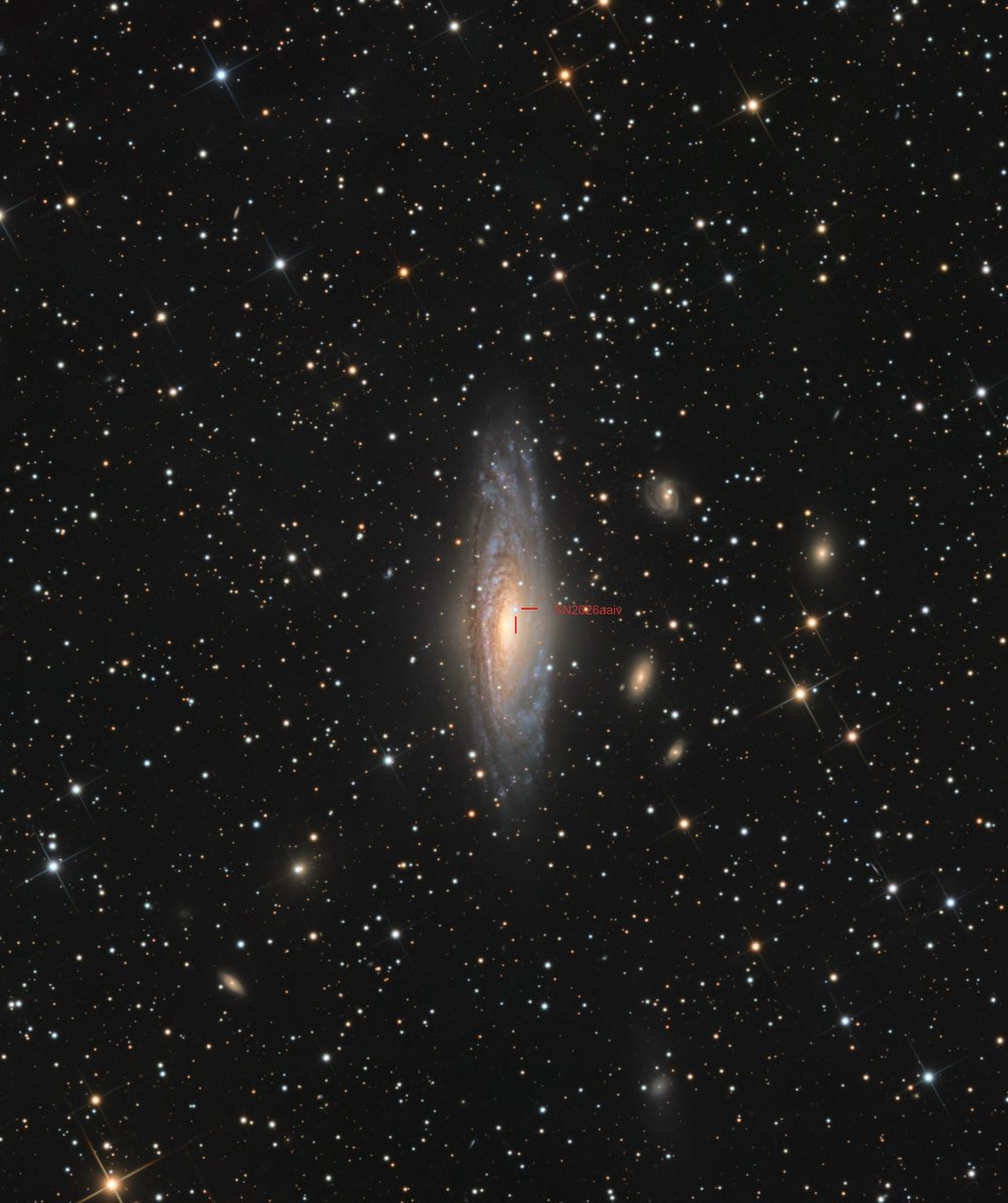 konstructivizm's tweet photo. A star died tens of millions of years ago. We just saw it.

About 45 million years ago, in the spiral galaxy NGC 7331, a white dwarf reached its breaking point. It had been stealing gas from a companion star until it hit a critical mass — and then it detonated as a Type Ia supernova, a thermonuclear blast that unbinds the dead star itself.

That flash has only now arrived. The light reached Earth on 1 September 2026 and was caught as SN 2026aaiv.

The delay is the distance talking: NGC 7331 lies tens of millions of light-years away in Pegasus, so the explosion is ancient history there and breaking news here. What we are seeing is not a living star tearing itself apart, but the leftover core of one — a white dwarf that grew too heavy, ignited, and vanished in a single, clean nuclear fire.