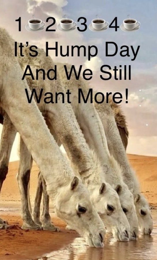 LEMay19993186's tweet photo. Yes yes! I want more!! 🤭😉Sleep if you have it, coffee if you don’t!🤷🏻‍♀️🤣Happy Humpy Y’all! 🐫☕️🐪
1 AM starts are tough.. it’s going to be a looong day!🙋🏻‍♀️🫂❤️😘🍂 https://t.co/WKzDFGOVvV